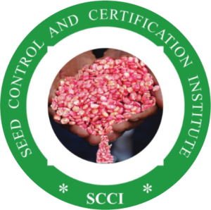 SCCI Zambia online training